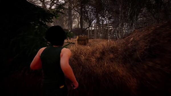 Ver Gameplay